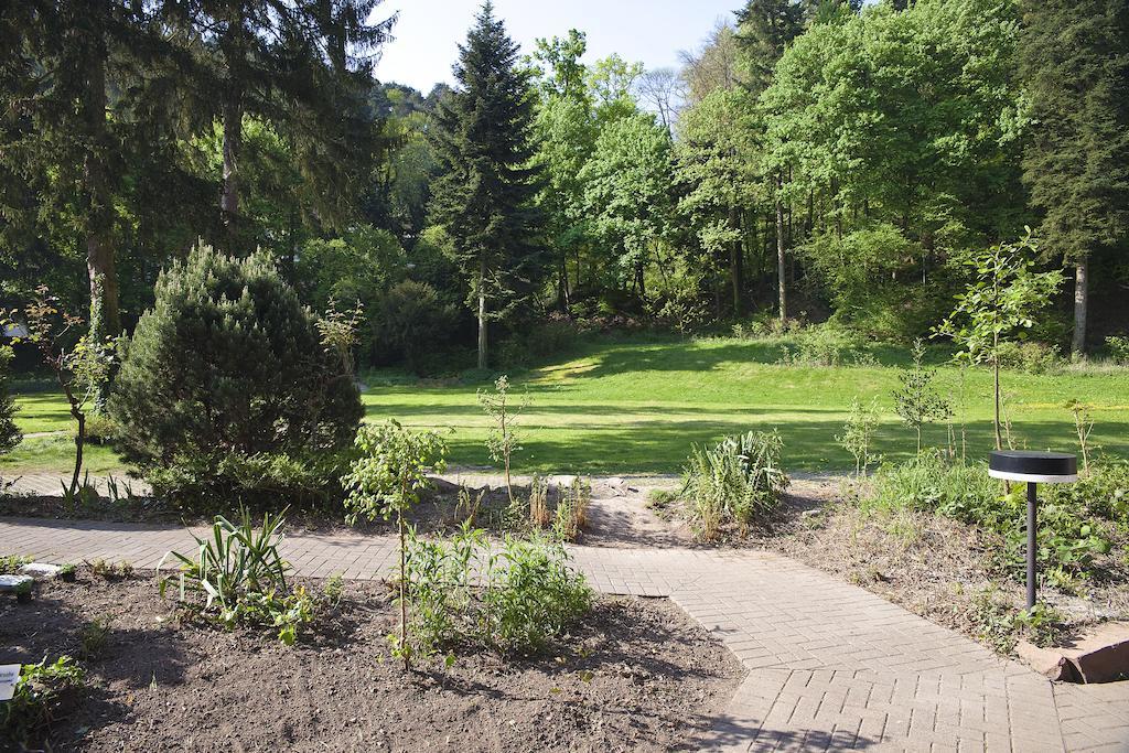 Hotel Luisenpark Bad Bergzabern Eksteriør bilde